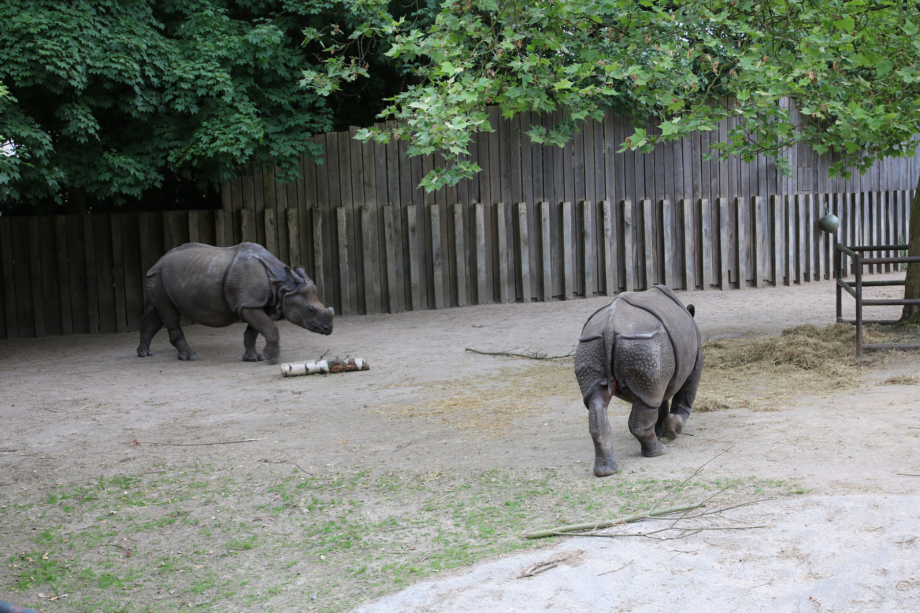 Dierenpark Planckendael